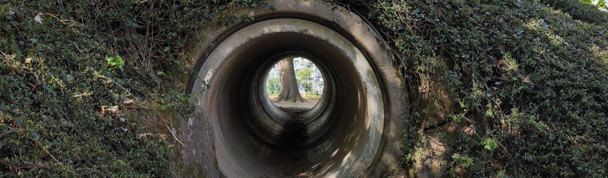 WhatsApp Image 2026-04-24 at 09.23.32 (2)