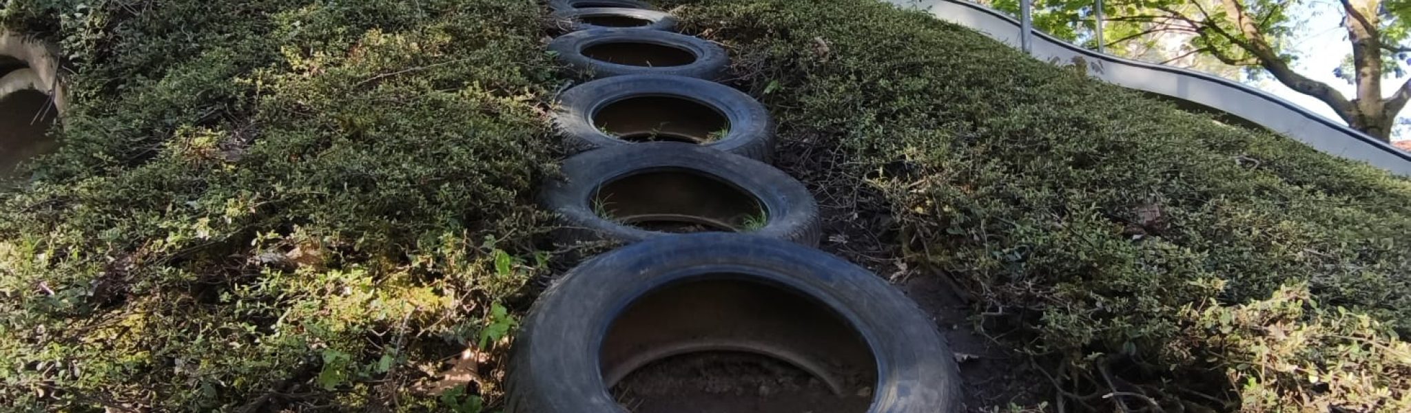 WhatsApp Image 2026-04-24 at 09.23.32