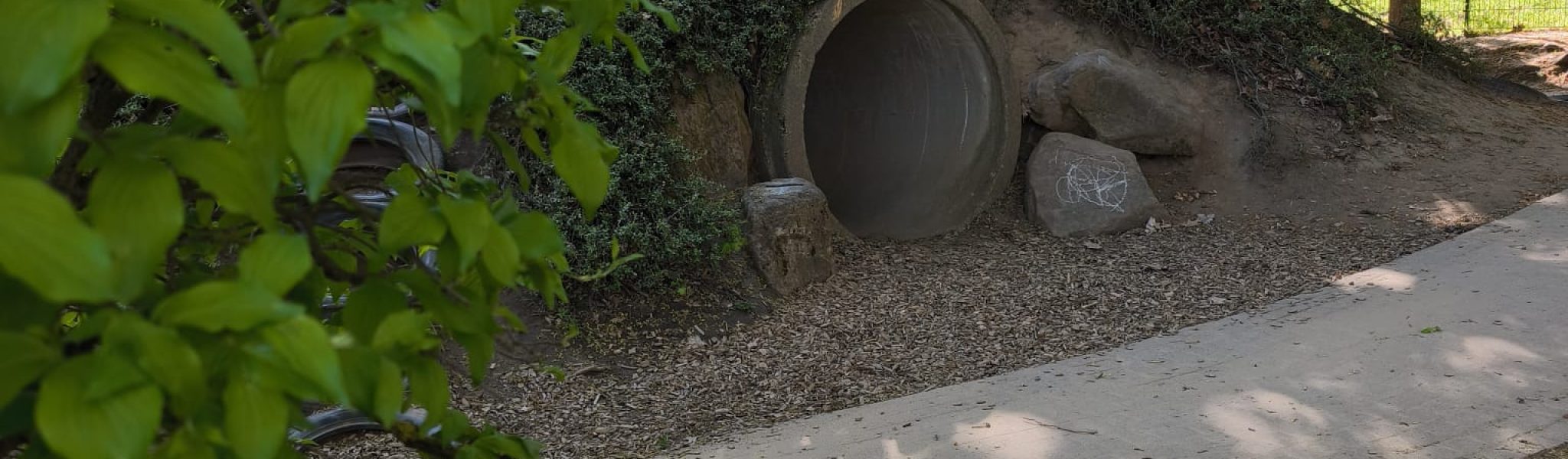 WhatsApp Image 2026-04-24 at 09.23.37 (1)